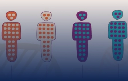 Caracterização clínica, laboratorial e molecular de pacientes com Imunodeficiência Comum Variável no Brasil: abordagem pela medicina de precisão