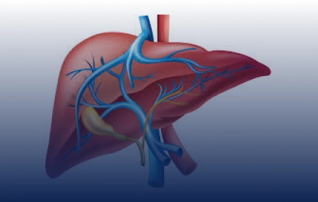 Correlacionar a presença de hipertensão portal (HP) em pacientes com IDCV com possíveis causas infecciosas